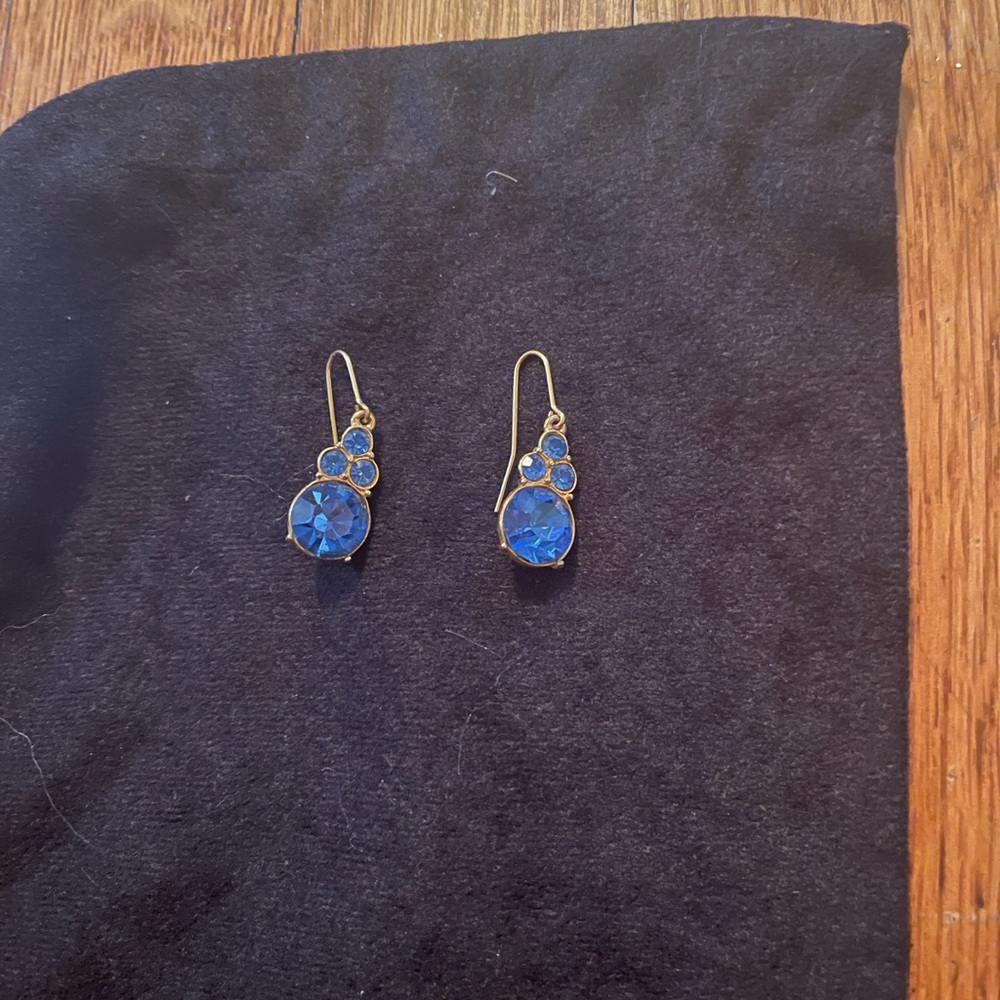 Elegant Blue Drop Earrings